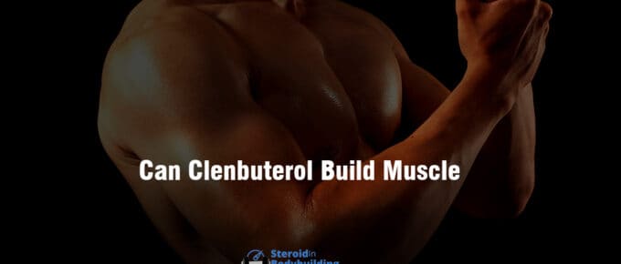 Can Clenbuterol Build Muscle