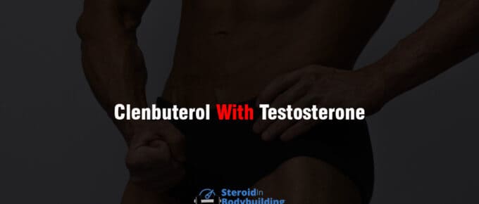 Clenbuterol With Testosterone