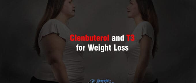 Clenbuterol and T3 for Weight Loss