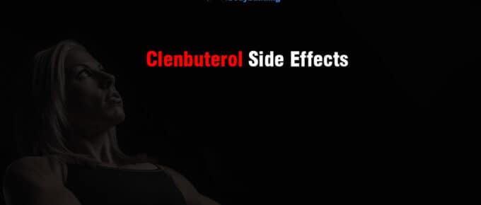 Clenbuterol side Effects
