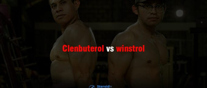 Clenbuterol vs Winstrol