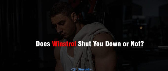 Does Winstrol Shut You Down or Not