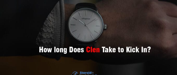 How long Does Clen Take to Kick In
