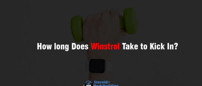 How long Does Winstrol Take to Kick In