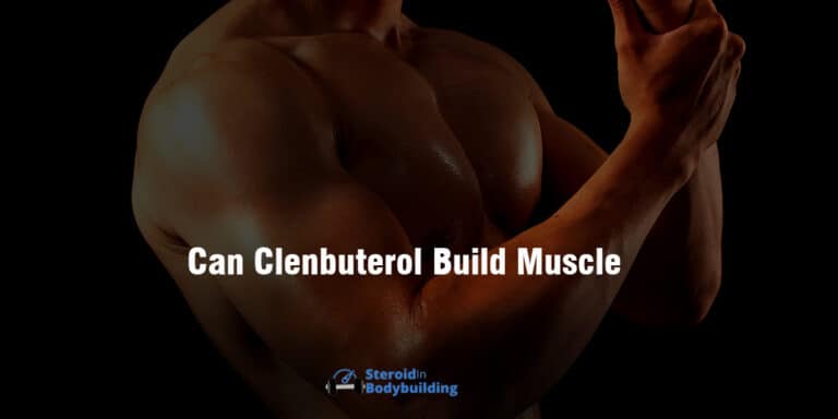 Can Clenbuterol Build Muscle? (the truth revealed)
