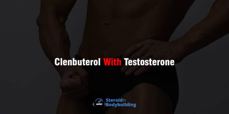 Clenbuterol with Testosterone: stacked & taken together?