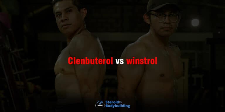 Clenbuterol vs Winstrol: Which is better for you?