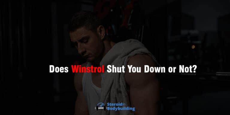 Does Winstrol Shut you Down or not?
