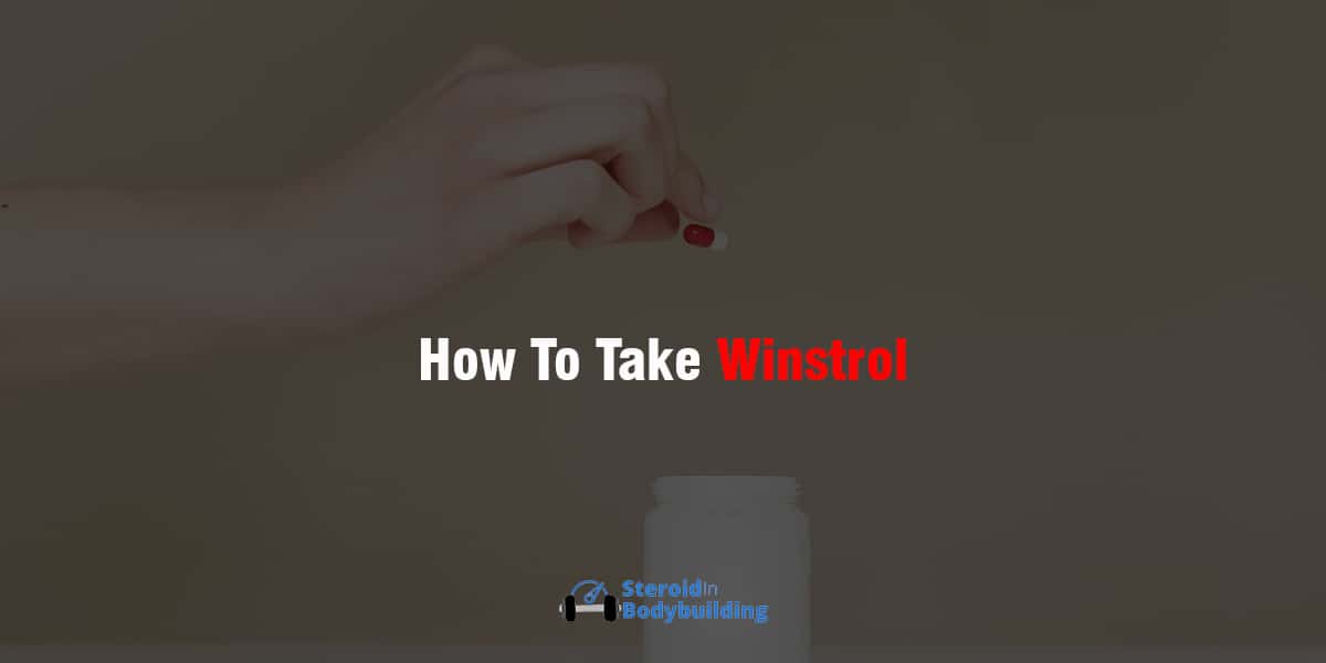 How To Take Winstrol SteroidInBodybuilding