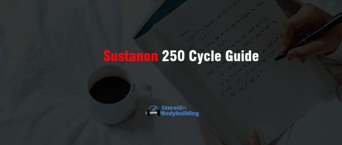 Sustanon 250 Cycle Guide