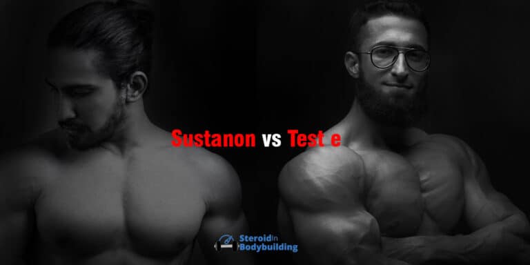 Sustanon vs Test e: Which is Better for Bulking?