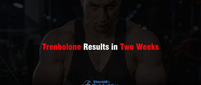 Trenbolone Results in Two Weeks