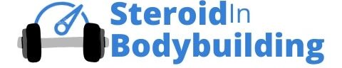 steroidinbodybuilding logo