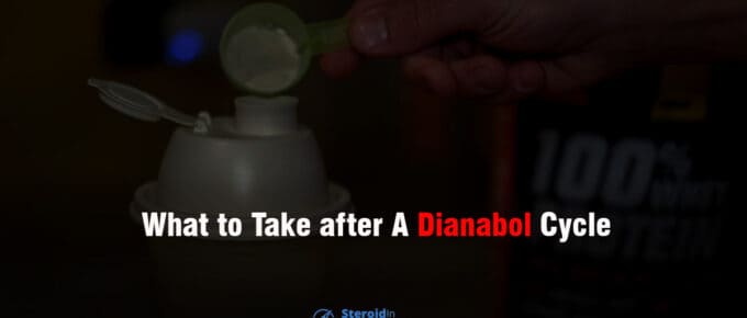 What to take after a dianabol cycle
