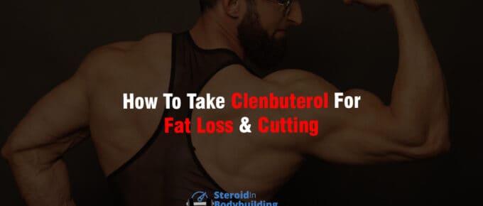 How To Take Clenbuterol For Fat Loss & Cutting